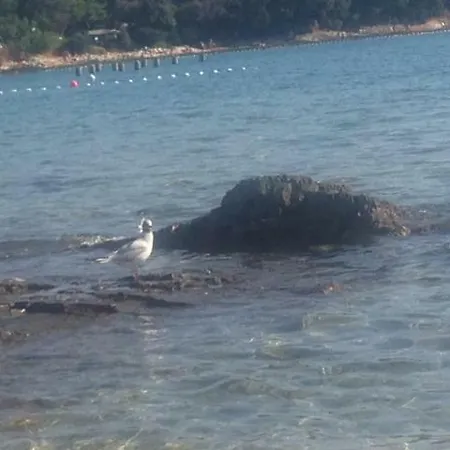 Eni & Dani Апартаменты *