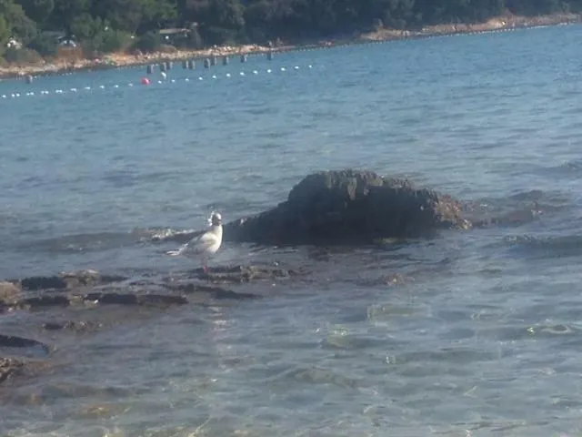 Eni & Dani Appartement *